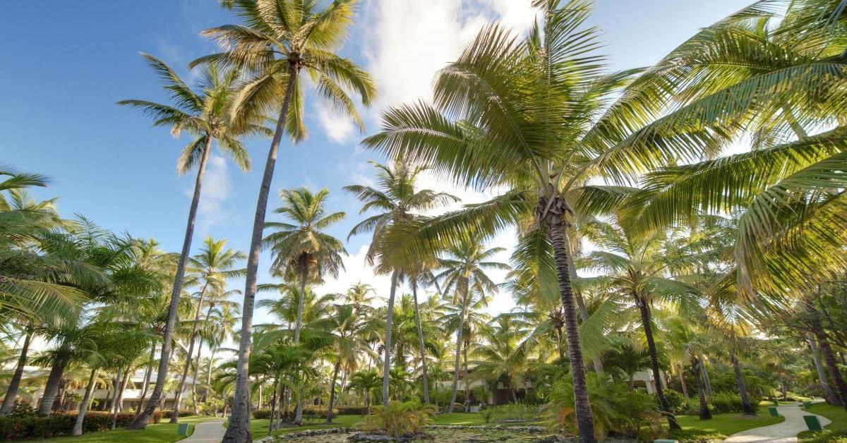 The Level At Melia Caribe Beach (Adults Only) Punta Cana Exterior photo